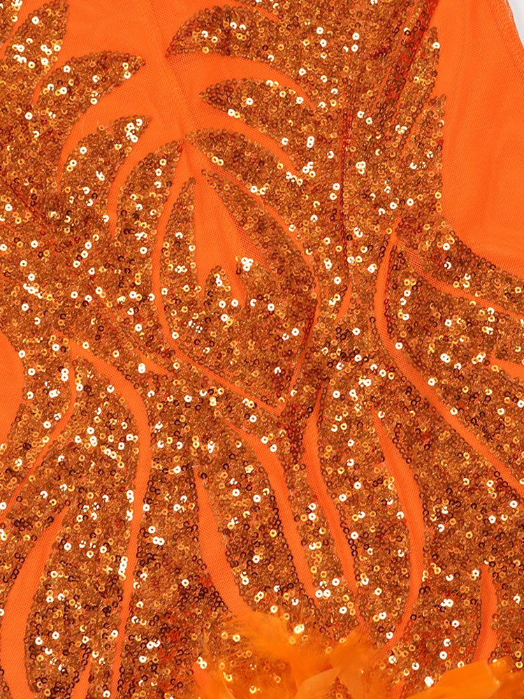 Beyprern Sequin Feather Mesh Dress – Luxury Sleeveless Party Outfit